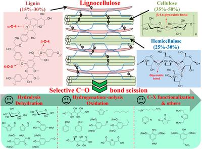 Selectivity Control of C-O Bond Cleavage for Catalytic Biomass Valorization